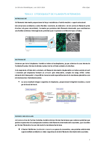 Tema-3.-Filaments-intermedis.pdf