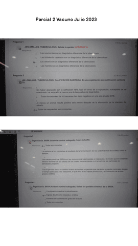 2-Parcial-Vacuno-JULIO-2023.pdf