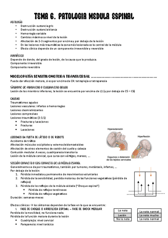 6.-PATOLOGIA-MEDULA.pdf