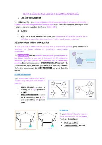 TEMA-2.-ACIDOS-NUCLEICOS.pdf