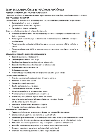 TEMA-6.-IDENTIFICACION-DE-LA-ANATOMIA-LA-FISIOLOGIA-Y-LA-PATOLOGIA-DEL ...