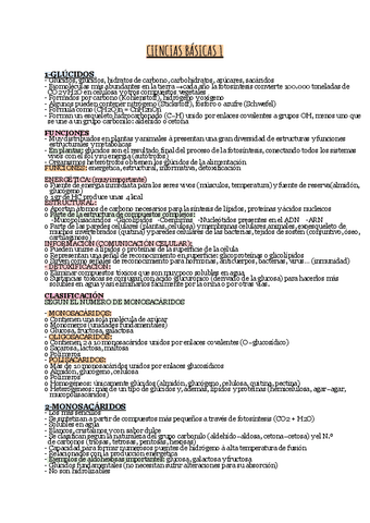 TEMA-5-GLUCIDOS.pdf