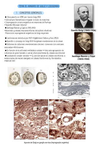 TEMA-10.-APARATO-DE-GOLGI-Y-LISOSOMAS.pdf