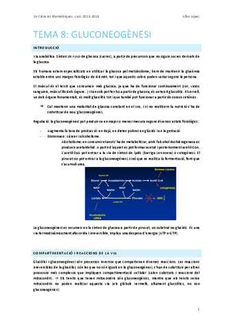 Tema-8.-Gluconeogenesi.pdf