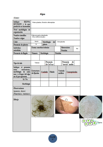 Copia-de-fichas-de-practicas-22-23.pdf