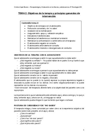 Tema-2-Objetivos-de-la-terapia-y-principios-generales-de-intervencion.pdf