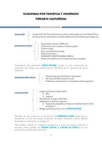 ESQUEMAS-POR-TEMATICA-Y-HOMINIDO.pdf