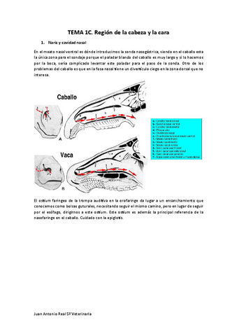 Tema-1C.pdf