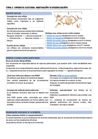 TEMA-2-APRENDIZAJE.pdf