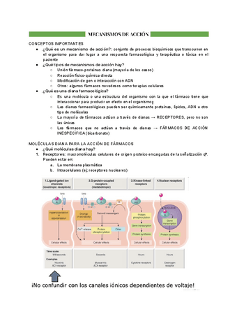 TEMA-4-MECANISMO-DE-ACCION.pdf