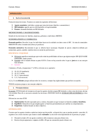Apuntes-completos-micro.pdf