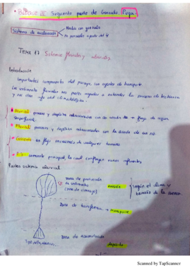 New File06.01.2018 .pdf