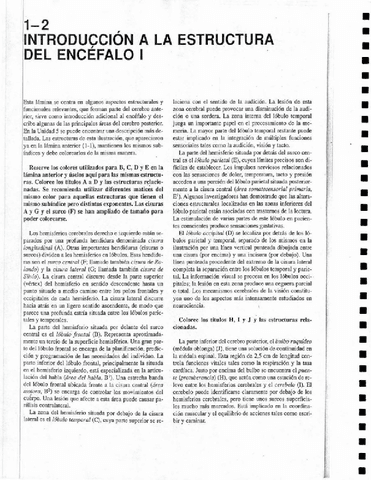 PLANTILLAS-1er-parcial.pdf