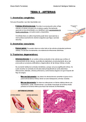 TEMA-8-ARTERIAS.pdf