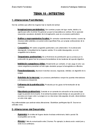 TEMA-10-INTESTINO.pdf