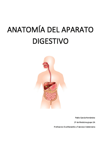 Apuntes-Anatomia-del-Aparato-Digestivo.pdf