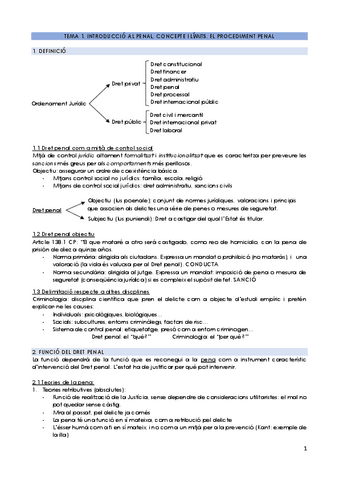 DRET-PENAL-SOCIOECONOMIC-2.pdf
