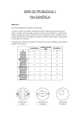 SERIE DE PROBLEMAS 1.pdf