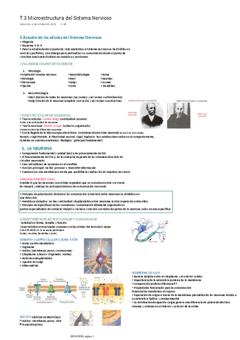 T.3-Microestructura-del-Sistema-Nervioso.pdf