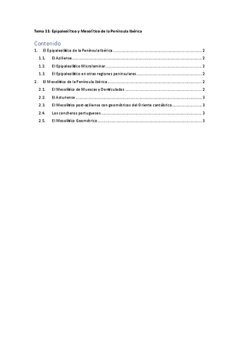 Tema-11Epipaleolitico-y-Mesolitico.pdf