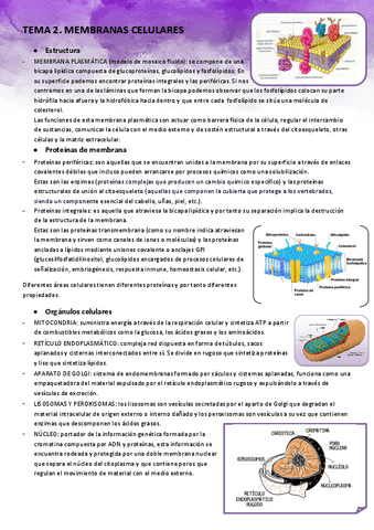 TEMA-2-FISIOLOGIA.pdf