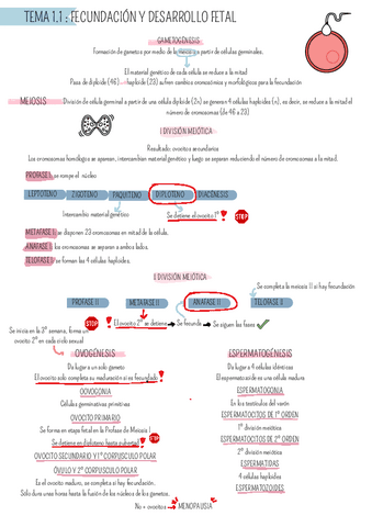 BLOQUE-1-CUIDADOS-DE-LA-MUJER.pdf