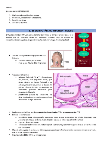 2.-HORMONAS-Y-METABOLISMO.pdf
