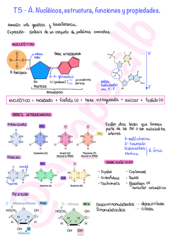 T5-A.-Nucleicos-estructura-funciones-y-propiedades..pdf