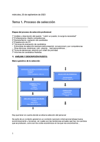Temas-teoricos.pdf