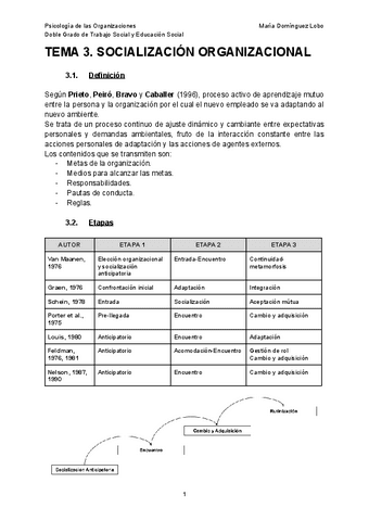 TEMA-3-PSICOLOGIA-DE-LAS-ORGANIZACIONES.pdf