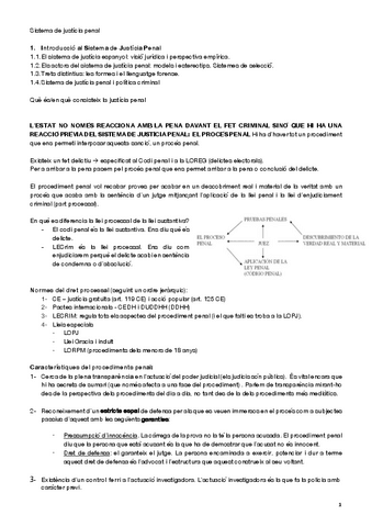 Sistema-de-justicia-penal.pdf