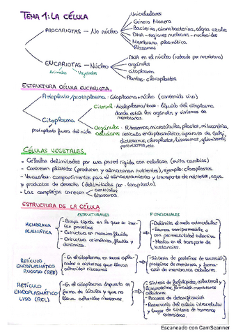 Tema-1-Resumen.pdf