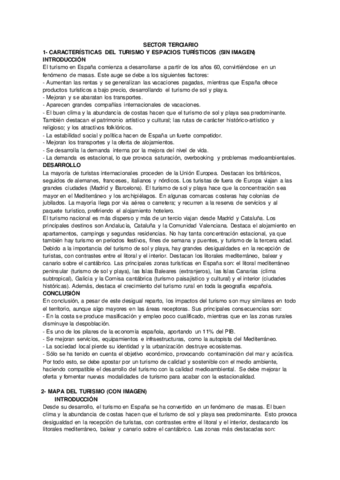 SECTOR-TERCIARIO.pdf