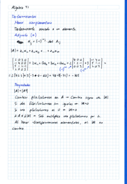 Algebra Tema 1 (escaneado).pdf
