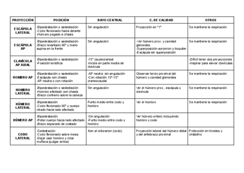 R. Simple Tema 2.pdf