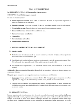 TEMA 1ANTRO.pdf
