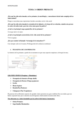 TEMA 2ANTRO.pdf