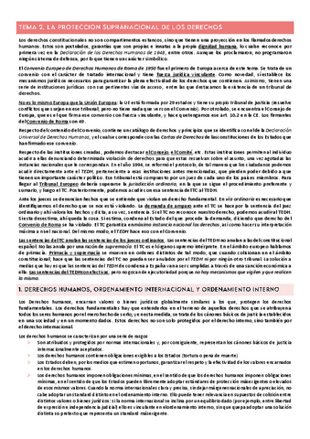 TEMA-2.pdf