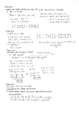 Ejercicios aplicaciones lineales.pdf