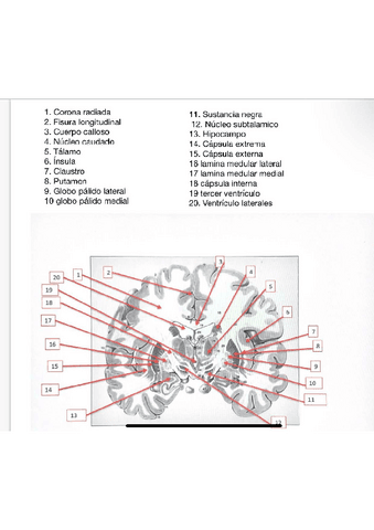 LAMINA-EXAMEN.pdf