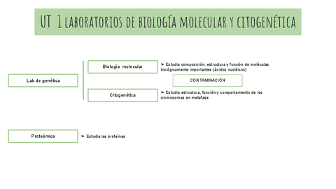 UT-1-ESQUEMA-LABORATORIOS-DE-BIOLOGIA-MOLECULAR-Y-CITOGENETICA.pdf