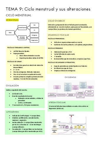 TEMA-9-CVI.pdf