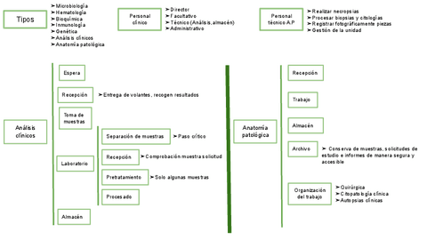 UT-2-ESQUEMA-LOS-LABORATORIOS-DE-ANALISIS-CLINICOS.pdf