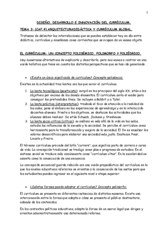 CURRÍCULUM CAP 4..pdf