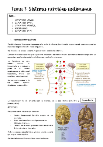 tema-7-fisio-animal.pdf