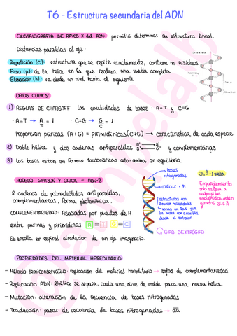 T6-Estructura-secundaria-del-ADN.pdf