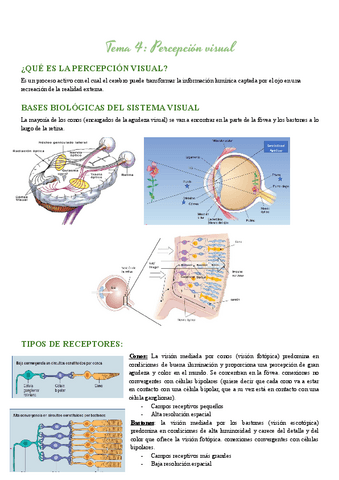 Apuntes-Procesos-cognitivos Tema 4.pdf