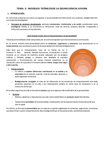 TEMA-2-DELINCUENCIA-JUVENIL.pdf