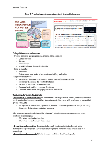 Tema-4-Principales-patologias-en-el-ambito-de-la-atencion-temprana.pdf