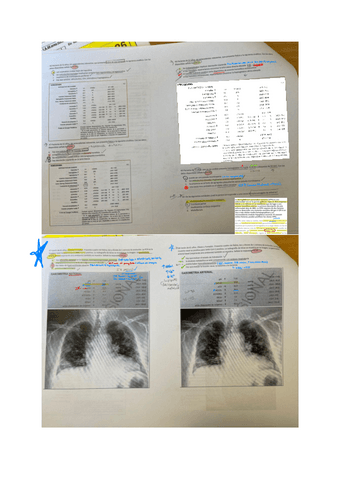 FP-Ordinario.pdf